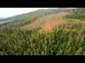 Boycott Tasmanian Lumber