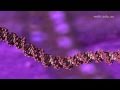 Molecular Visualizations of DNA - Original High Quality Version